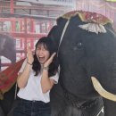 조하컴퍼니 | 찍먹 후 태국🇨🇷 I 태국골프 I 2주여행