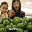 조아 - 서초구 나루터로15길 30-8 | 조아