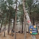 숨길+ 쉼길+ 순례길 이미지