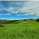 안내목장2 이미지