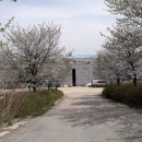 감곡면사무소 이미지