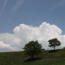 양대목장 이미지