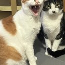 포포즈 반려동물 장례식장 경기광주점 이미지