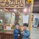 전주 여행지 중 아이랑 가볼만한 곳 곤충캠퍼스 찐 방문후기