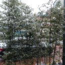 서울축산업협동조합 사료사업본부 이미지
