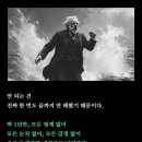 미호스킨아트