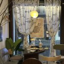 망리단길 | 망원동 한식주점 ‘살쾡이’ 망리단길 감성 술집 후기 (들기름 막국수 맛집)