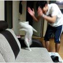 진교중학교 이미지