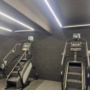 머슬마인드 | 구로디지털단지역 헬스장 추천 헬린이가 선택한 머슬마인드 솔직 후기