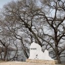 세병공원(대로변) 이미지