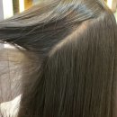 공원로-3 이미지