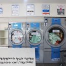 성안세탁 이미지