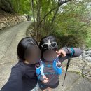 자연으로(의) 회귀 이미지