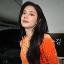 씨와이디 이미지