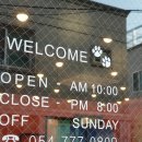 멍냥이 이발소 이미지