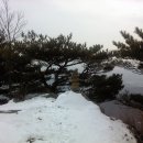 산직 이미지