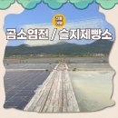 곰소다해젓갈 | 부안 여행코스 곰소염전 슬지제빵소 평일 웨이팅 상황