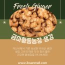 금마농장 이미지