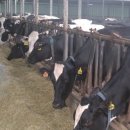 성현목장 이미지