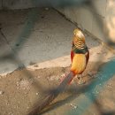 병일농장 이미지