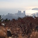 대천공원4호 이미지