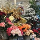 우석약국 | 파리 '미디스냅' 촬영후기