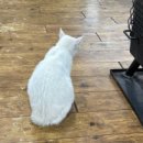 의령휴게소 이미지