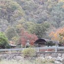구미골민박 네이버블로그