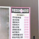 카토피아손세차