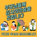 송화태권도 이미지