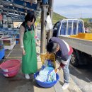 대천항종합수산물시장 이미지