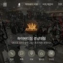 하이바디짐 이미지