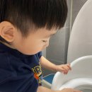 뿔난강아지 | 36개월 아기 배변훈련일지(대변편) : 장기전 돌입