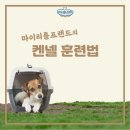 마이리틀프렌드 - 남구 삼산로94번길 19-24 | 마이리틀프렌드