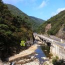 대불리목장 이미지