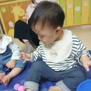 소꿉(해바라기씨) 이미지