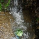 영식농장 이미지