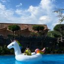 중휴림솔궁 이미지