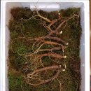 지바고한의원 이미지