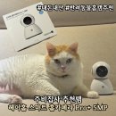 스마트홈 | [집사템] 우리집 고양이 주비 지킴이 &lt;헤이홈 스마트 홈카메라 Pro+ 5MP&gt; 내돈내산 후기