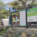 산달바다 캠핑장 | 거제, 굴 캐면서 노는 산달바다캠핑장