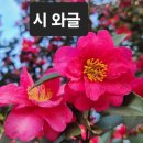 관람/이소연 ​ 이미지