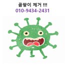 신그린 티스토리