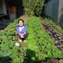 계림이용소 이미지