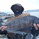 영등라인1 이미지