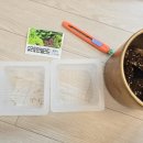 아이손원주 이미지