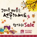 사은 스포츠경향