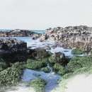 제주돈내코 - 춘천시 퇴계로77번길 19-40 | 제주돈내코