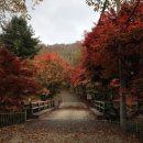 성주면행정복지센터 이미지