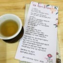 FANTASIA ( | 강원도 속초/양양/태백 3박 4일 여행(알펜시아스키장, 낙산사 후기)